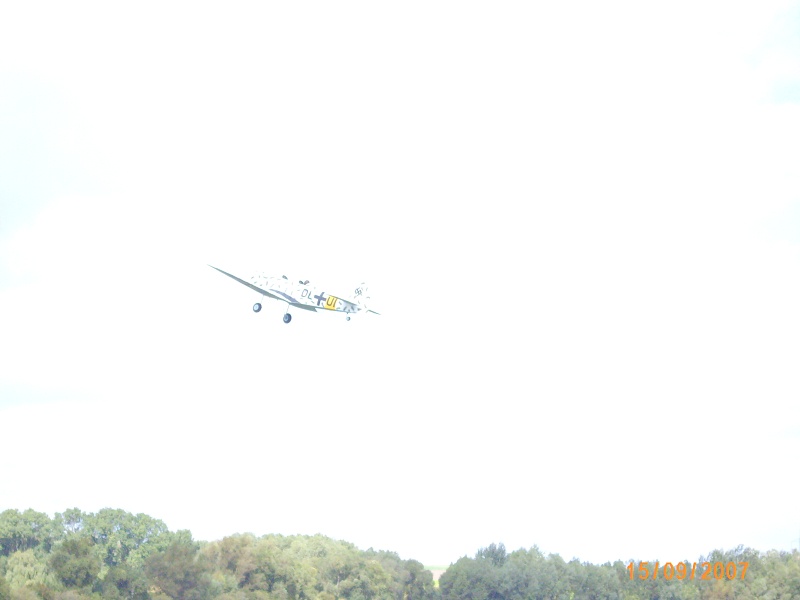 img00040.jpg
