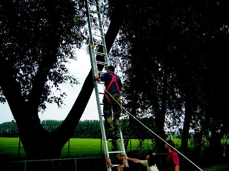 img00006.jpg