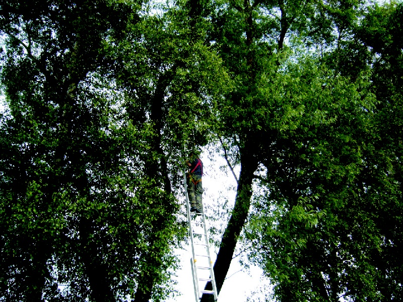 img00008.jpg