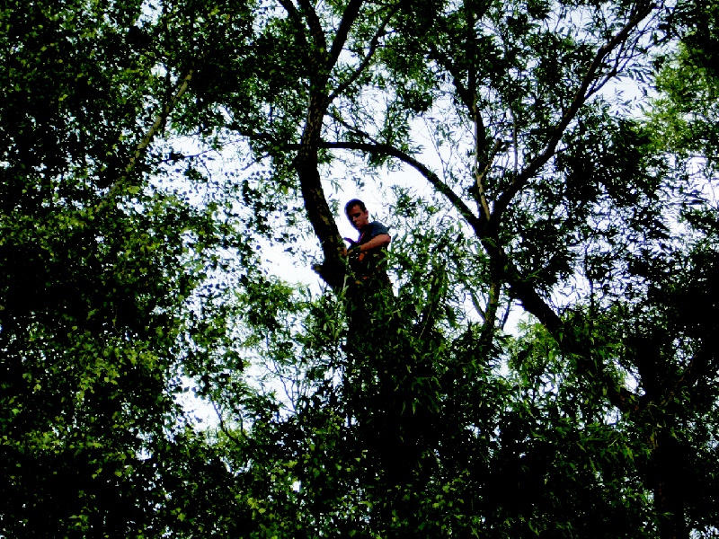 img00010.jpg