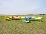 img00007