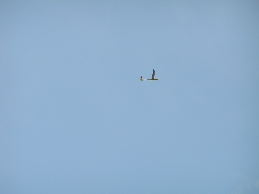 img00014.jpg