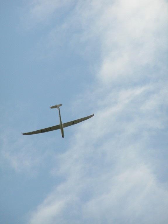 img00017.jpg