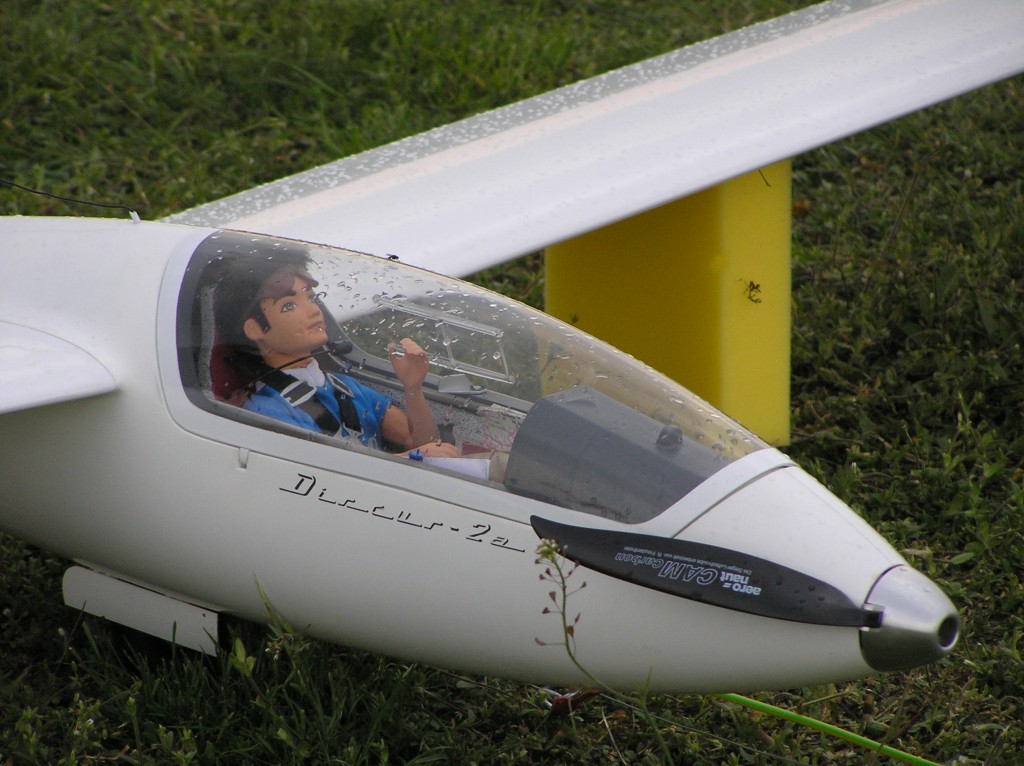 img00039.jpg