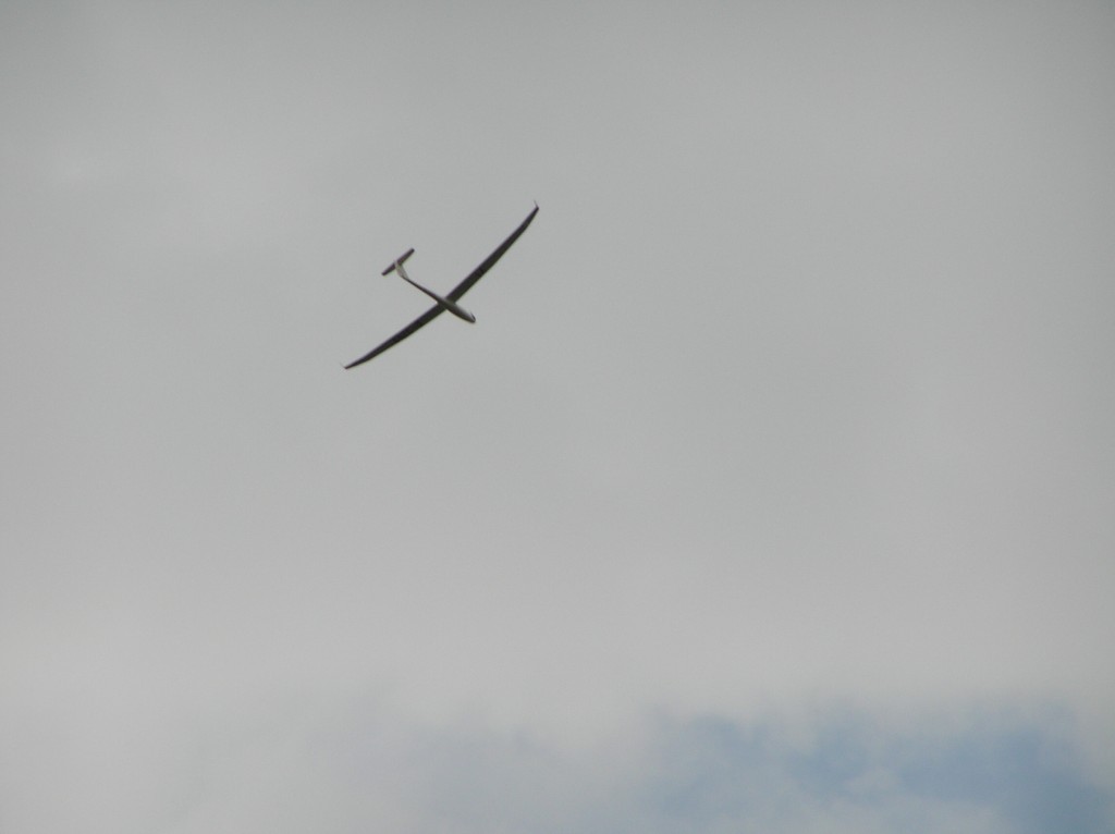 img00044.jpg