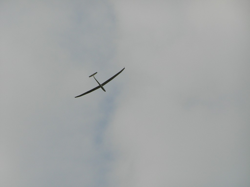 img00047.jpg