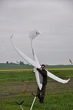 img00137