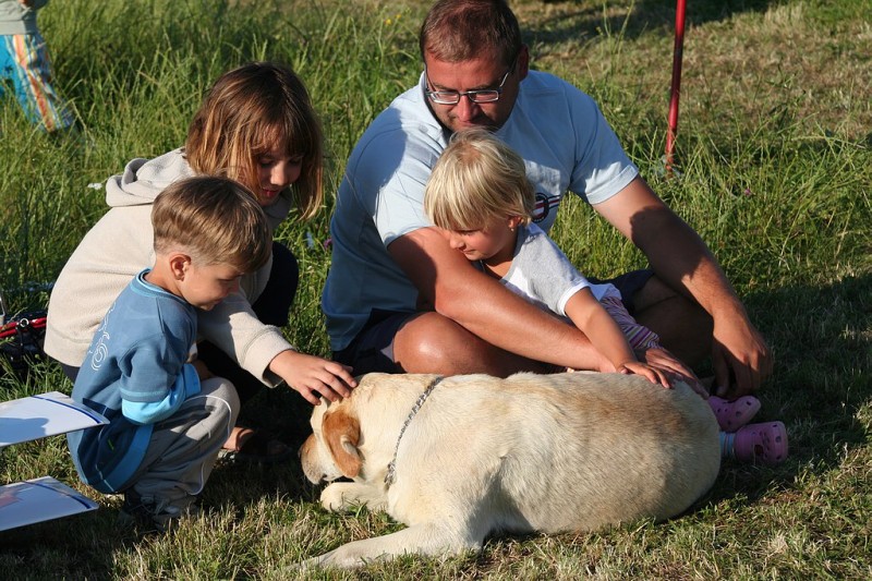 img00008.jpg