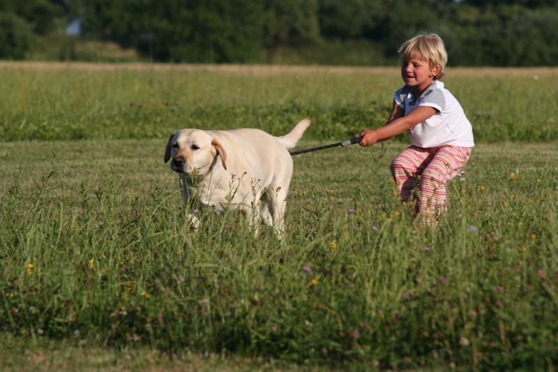img00011.jpg