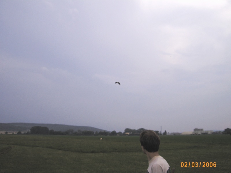 img00008
