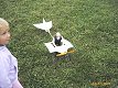 img00038
