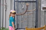 img00030