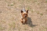 img00038