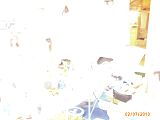img00165