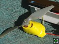 img00014