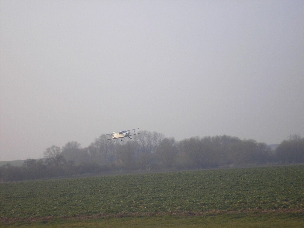 img00009.jpg