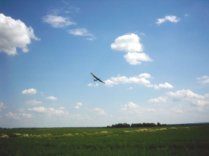 img00003.jpg