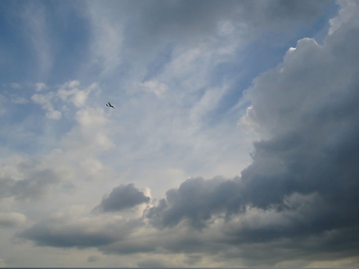 img00010.jpg