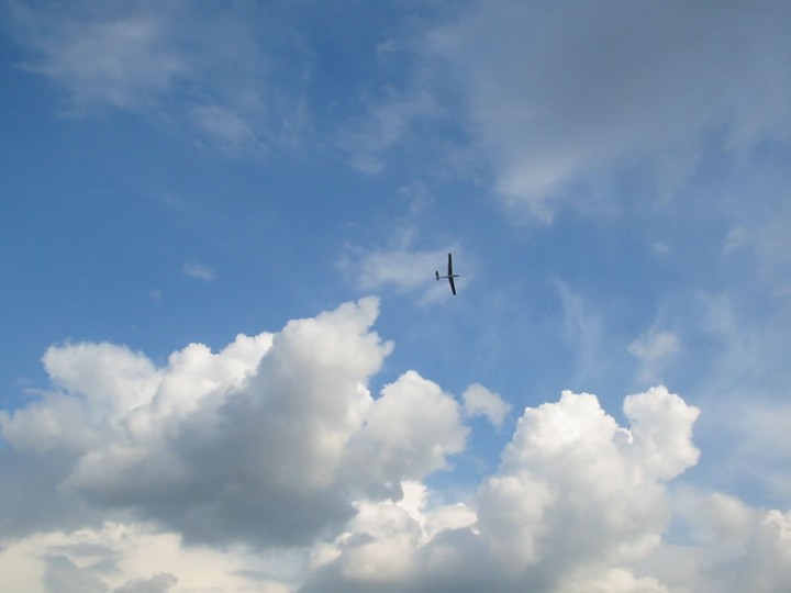 img00012.jpg
