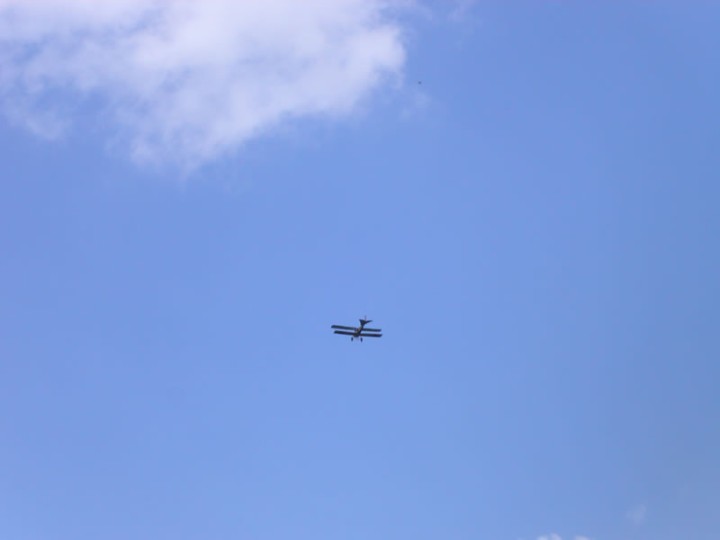 img00014.jpg