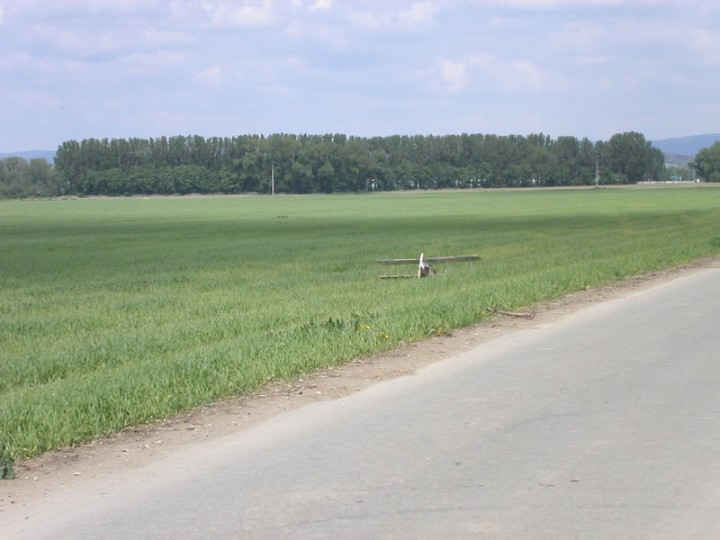 img00015.jpg