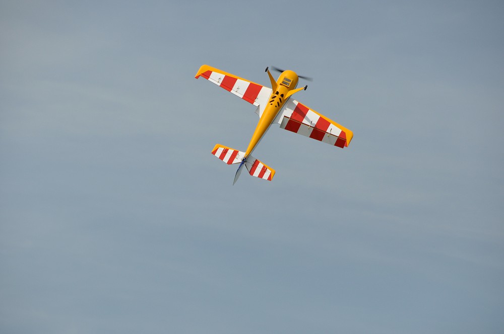 img00028.jpg